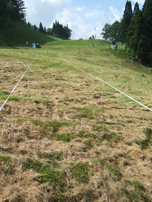 遠すぎてほとんどテントが設営されないFサイト。