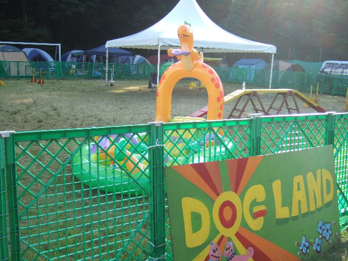 犬の遊び道具もたくさんあります。