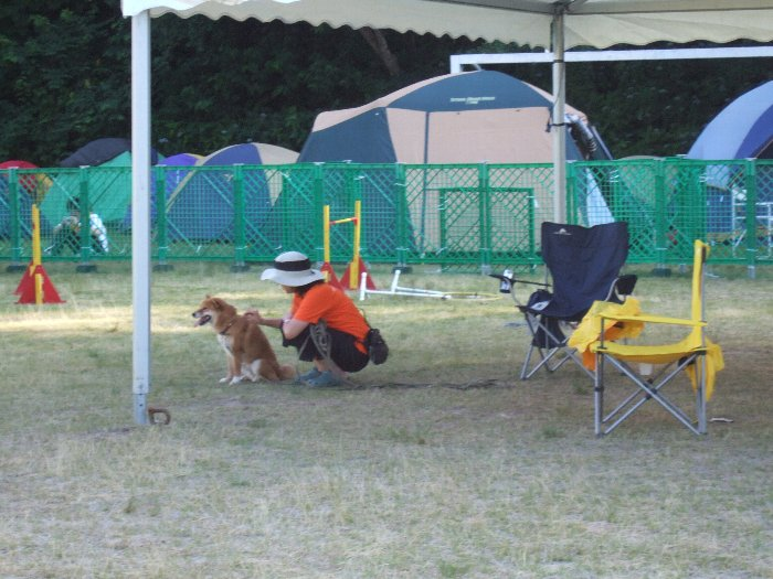 中にいる犬は一匹だけでした。広いドッグ・ランを独占。