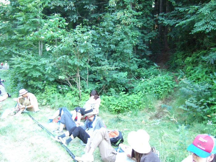 人が1人歩けるくらいのけもの道。 