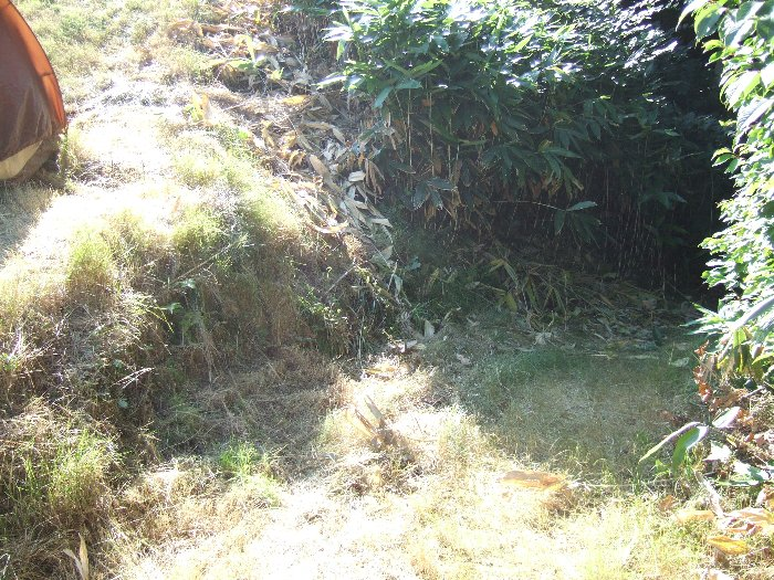 アバロン・フィールド側の入り口。