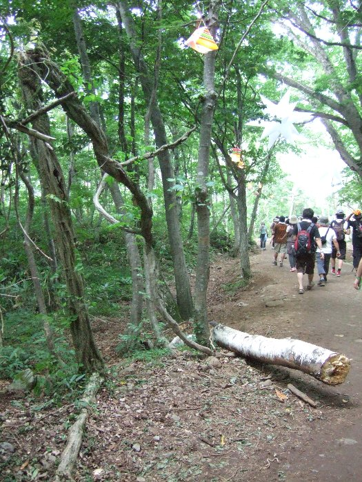 1日目、2日目はなかった倒木。 