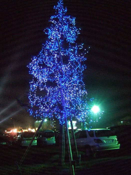 駐車場の木にも電飾しています。フジロックフェスティバル期間中だけでしょう。 