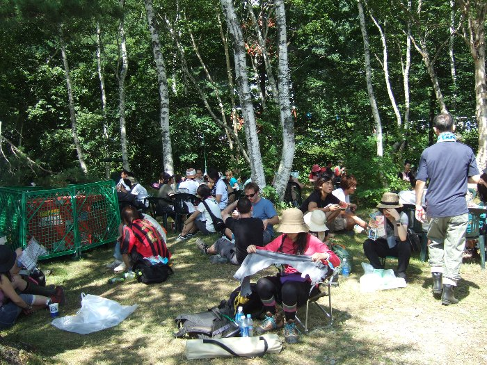 これはポカリスエット・ブースの奥にある通常の木陰。