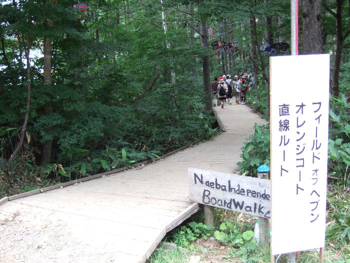 ホワイトステージの手前にあるボードウォークの入り口。 