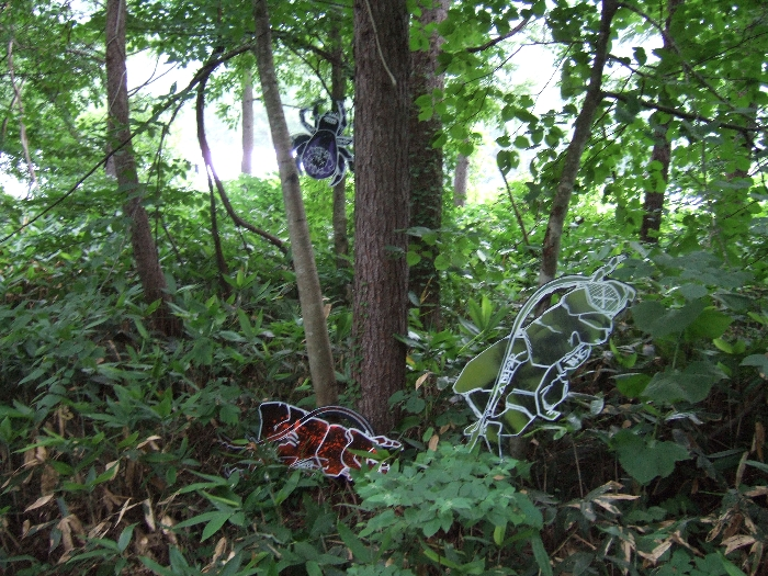 暗闇に現れるとやや恐い昆虫。 