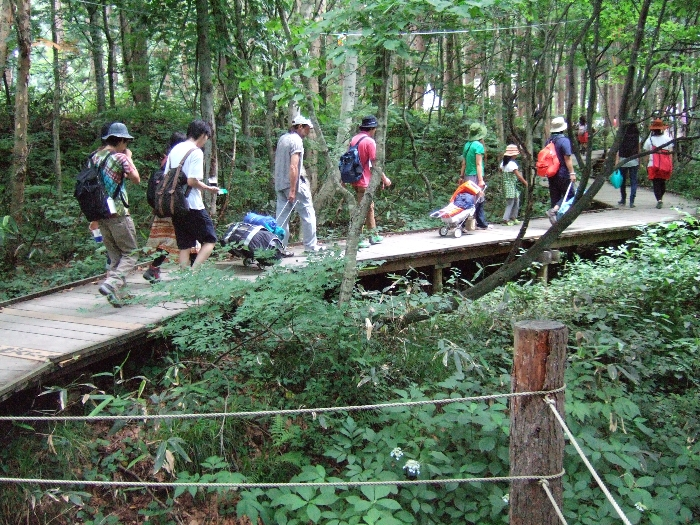 カートを持つ人にはボードウォークが便利です。 