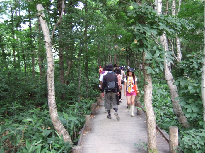 森の中。逆走禁止。 