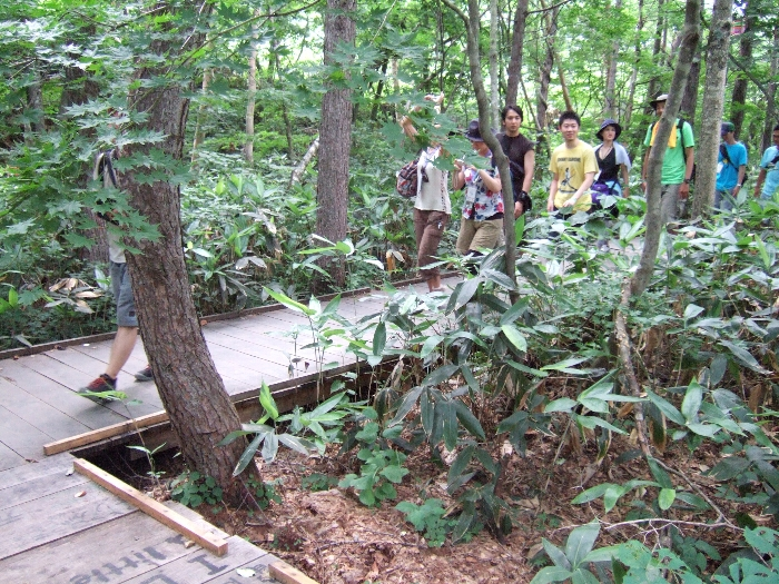 休憩所からボードウォークの人波を見ています。 