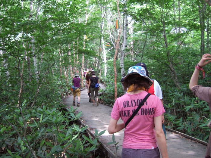 書くこともだんだんなくなってきました。 