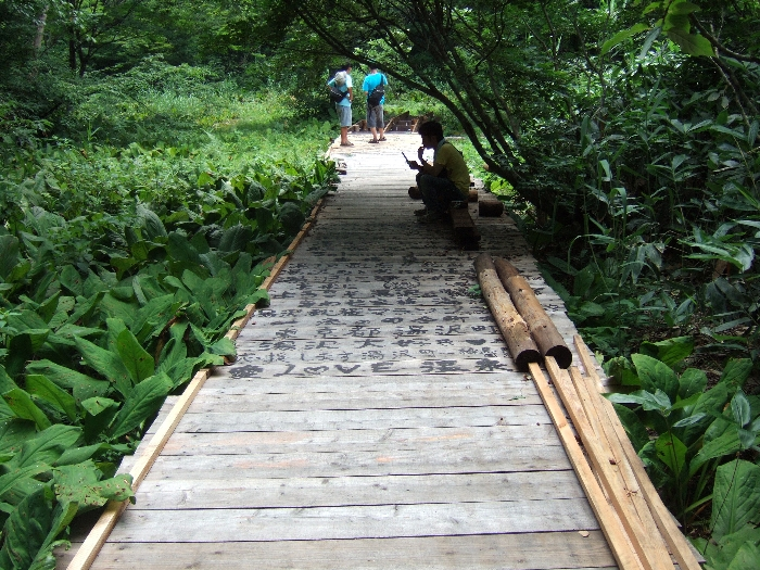 木陰で休憩する人。 