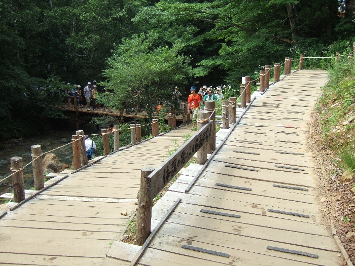 滑り止めつきボードウォーク。 