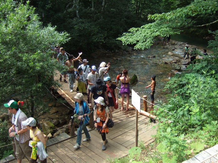 上から見た人波。 