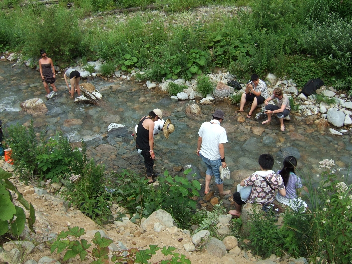 フジロックフェスティバル会場内には浅貝川が流れているので、オアシスエリアの仮設橋下、ところ天国でも川で遊べます。 