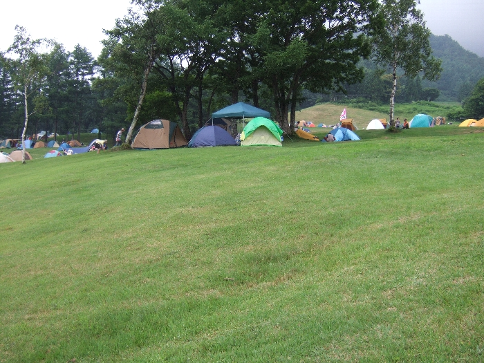 木陰のテント。朝の直射日光が厳しいことを知っている人たちでしょう。 