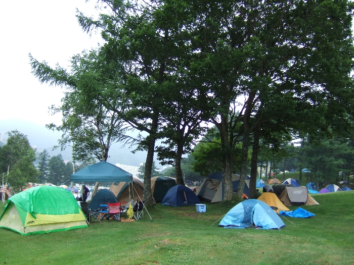 キャンプサイトDその5。 