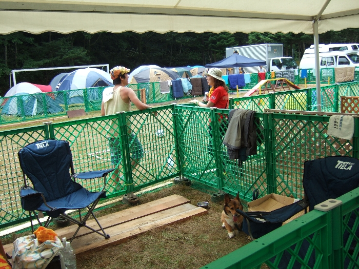 今年は利用者がいたということでしょうか。 