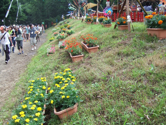 キッズランドの斜面。 