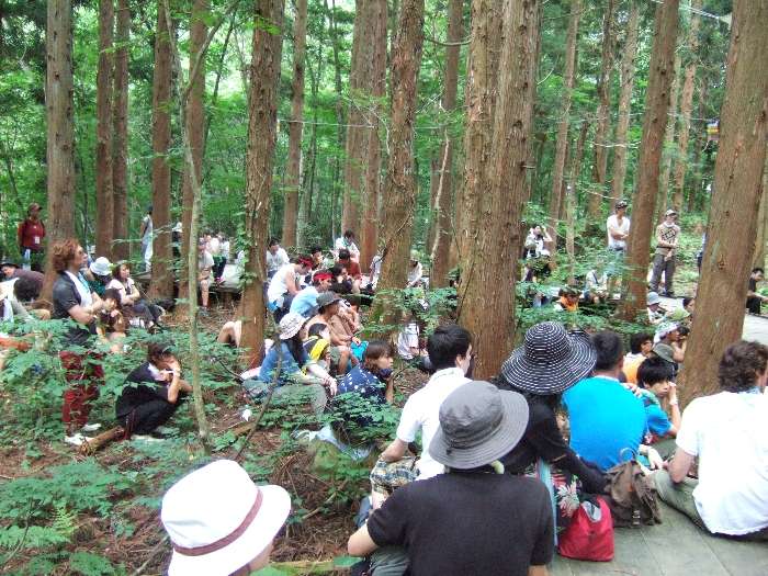 観客はボードウォークを降りて、座って見ています。 