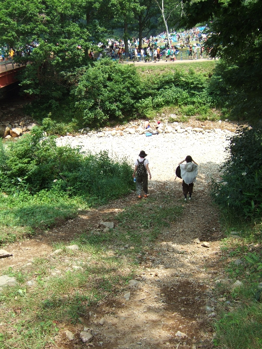 轍ができているのを見ると、重機が進入する場所のようです。 