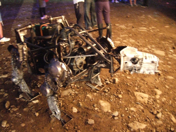 首の位置が低い四つ足動物。 