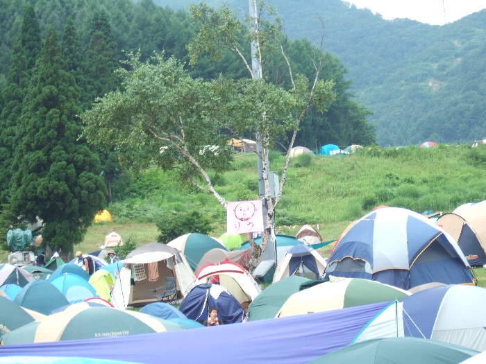 木に掛けた布。 