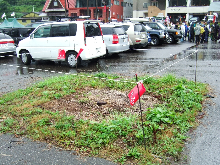 切り倒された木の跡