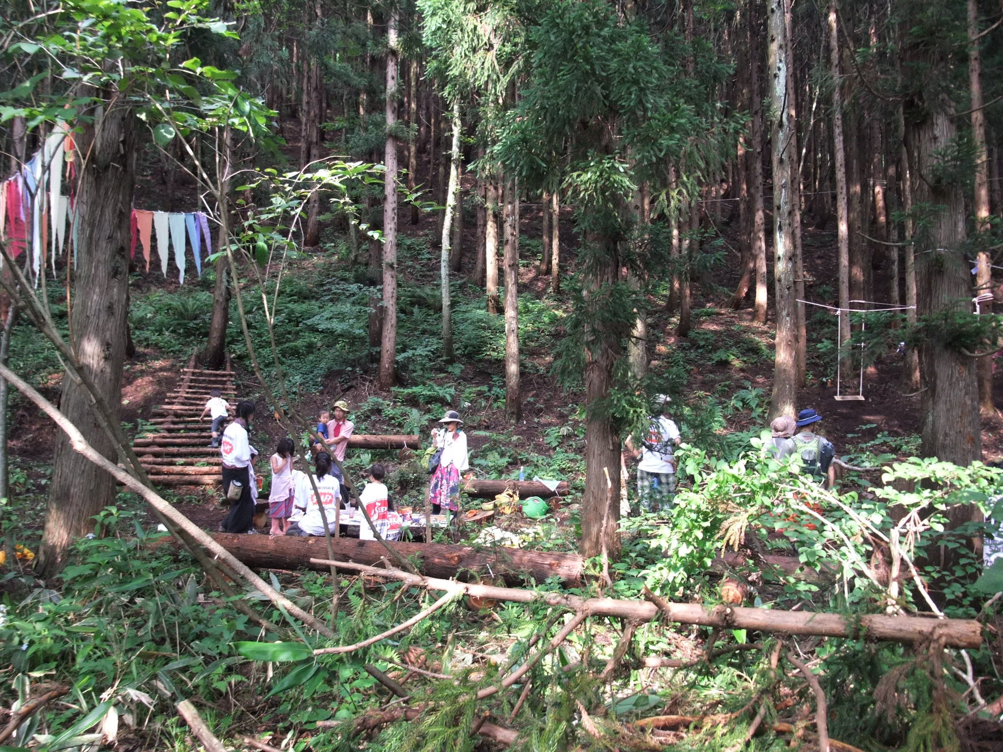 階段やベンチが見えます。