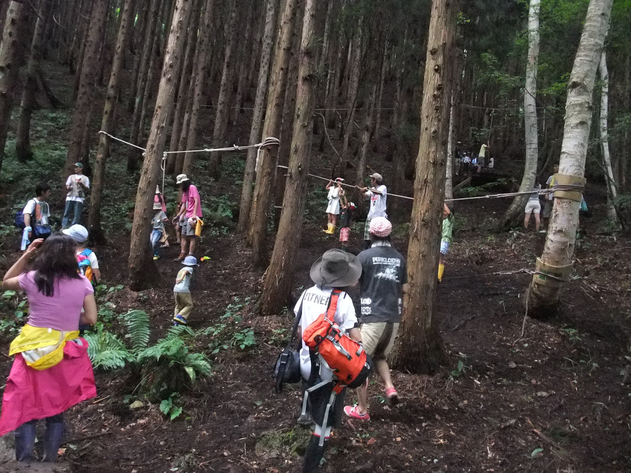 虫除け対策はした方がよさそうです。