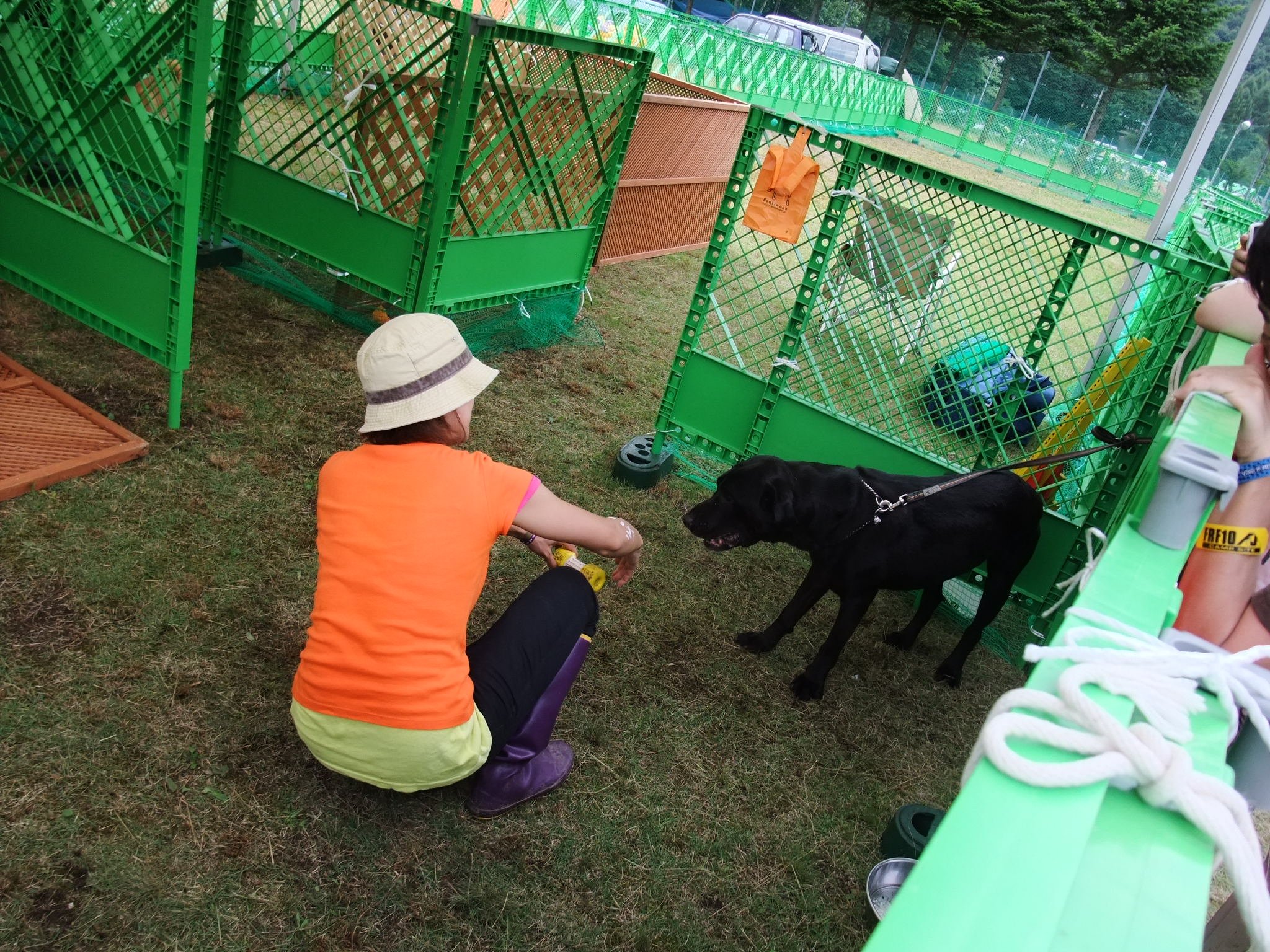 5匹ほど常駐しているようです。