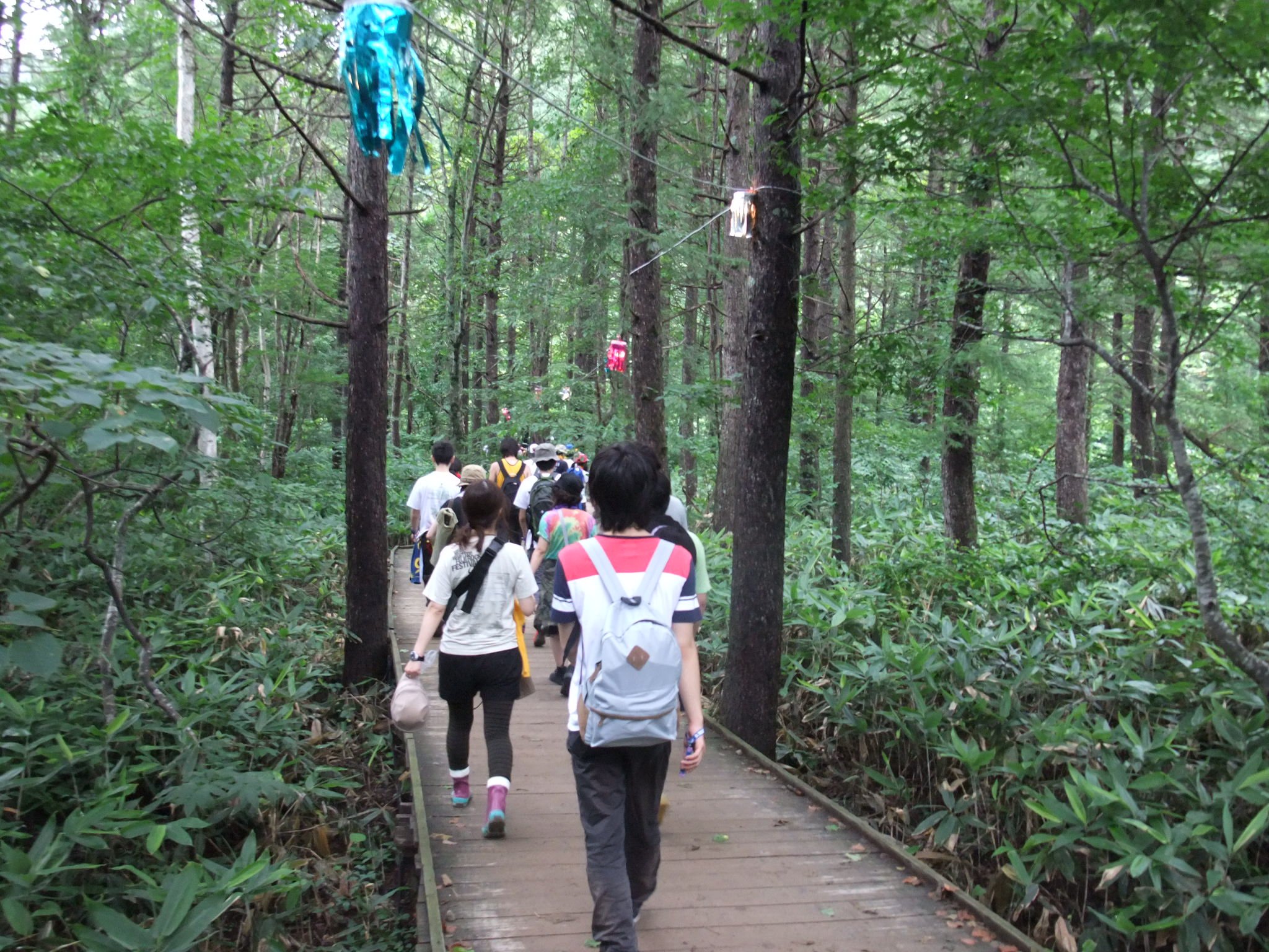 ずっとこの光景が続きます。