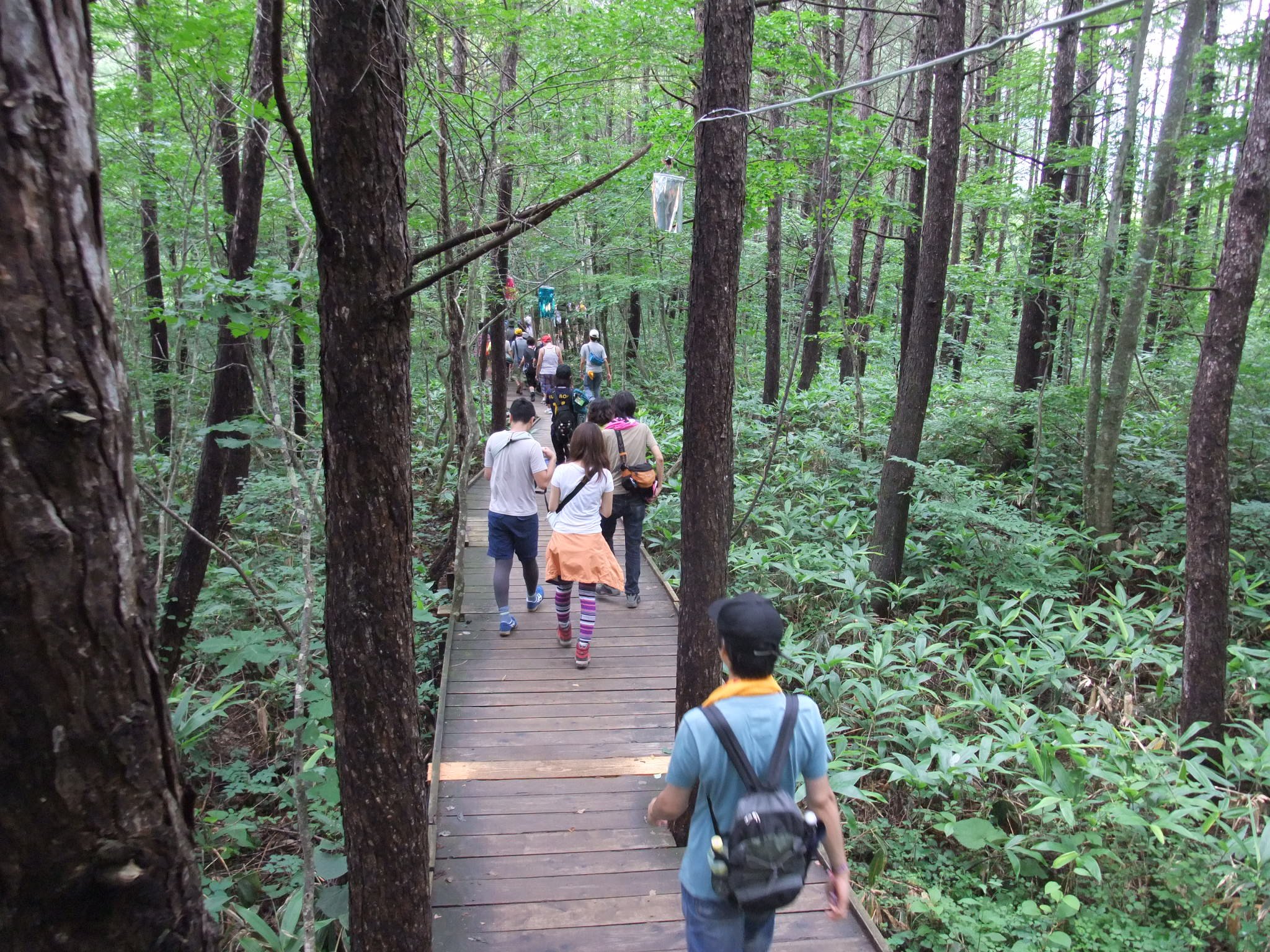 一枚だ取り替えられた板もありますが&hellip;。