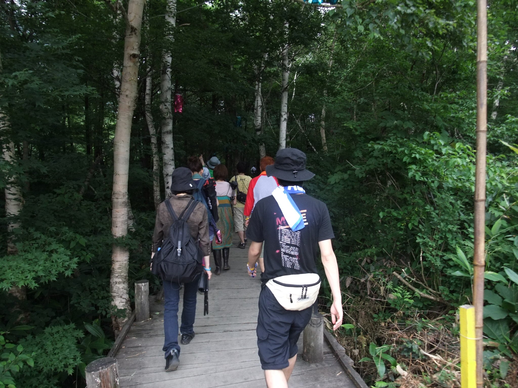 左に曲がるとすぐ林の中へ入ります。