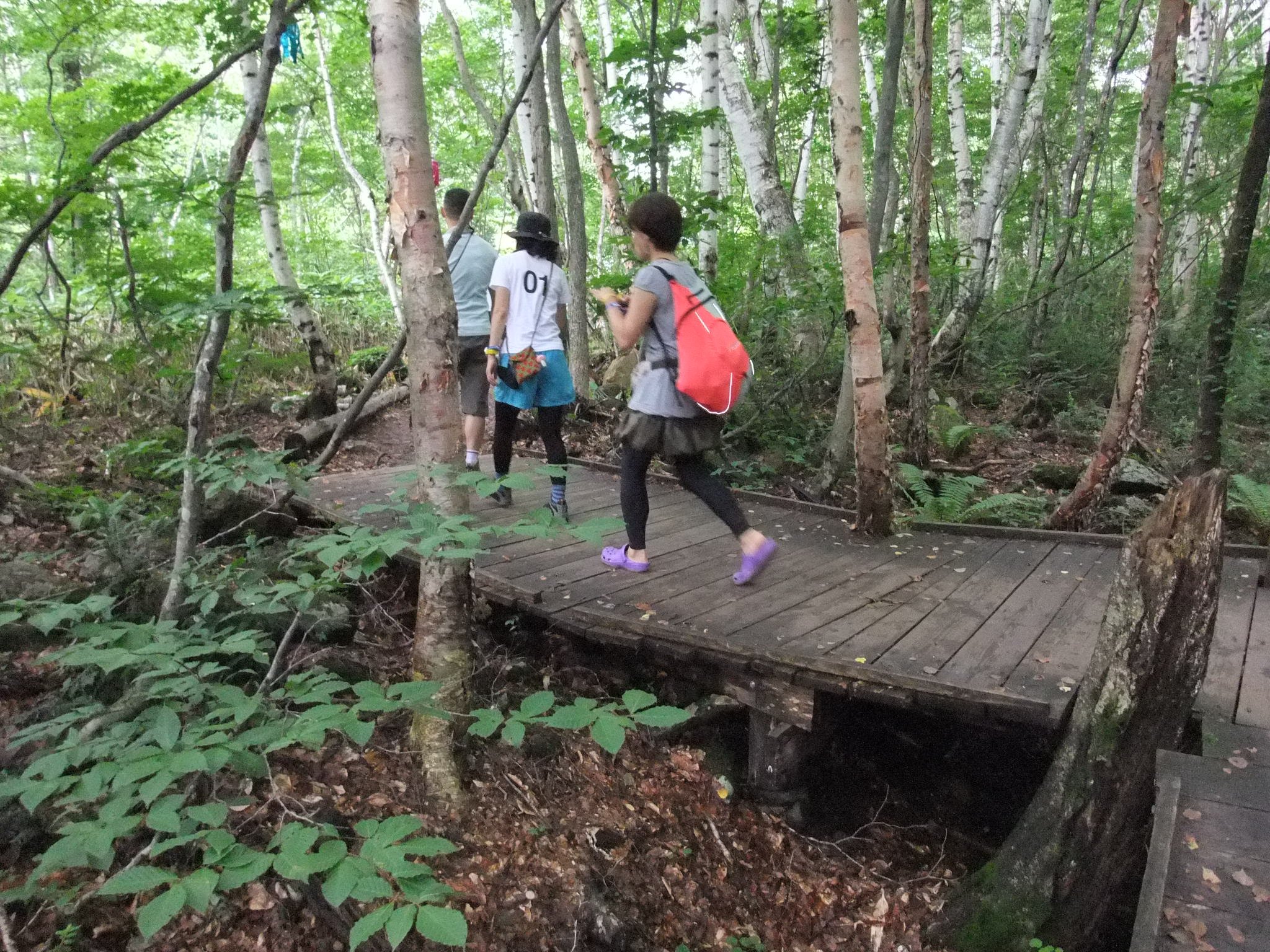 途中から板がなくなるところ。板自体も腐食気味。