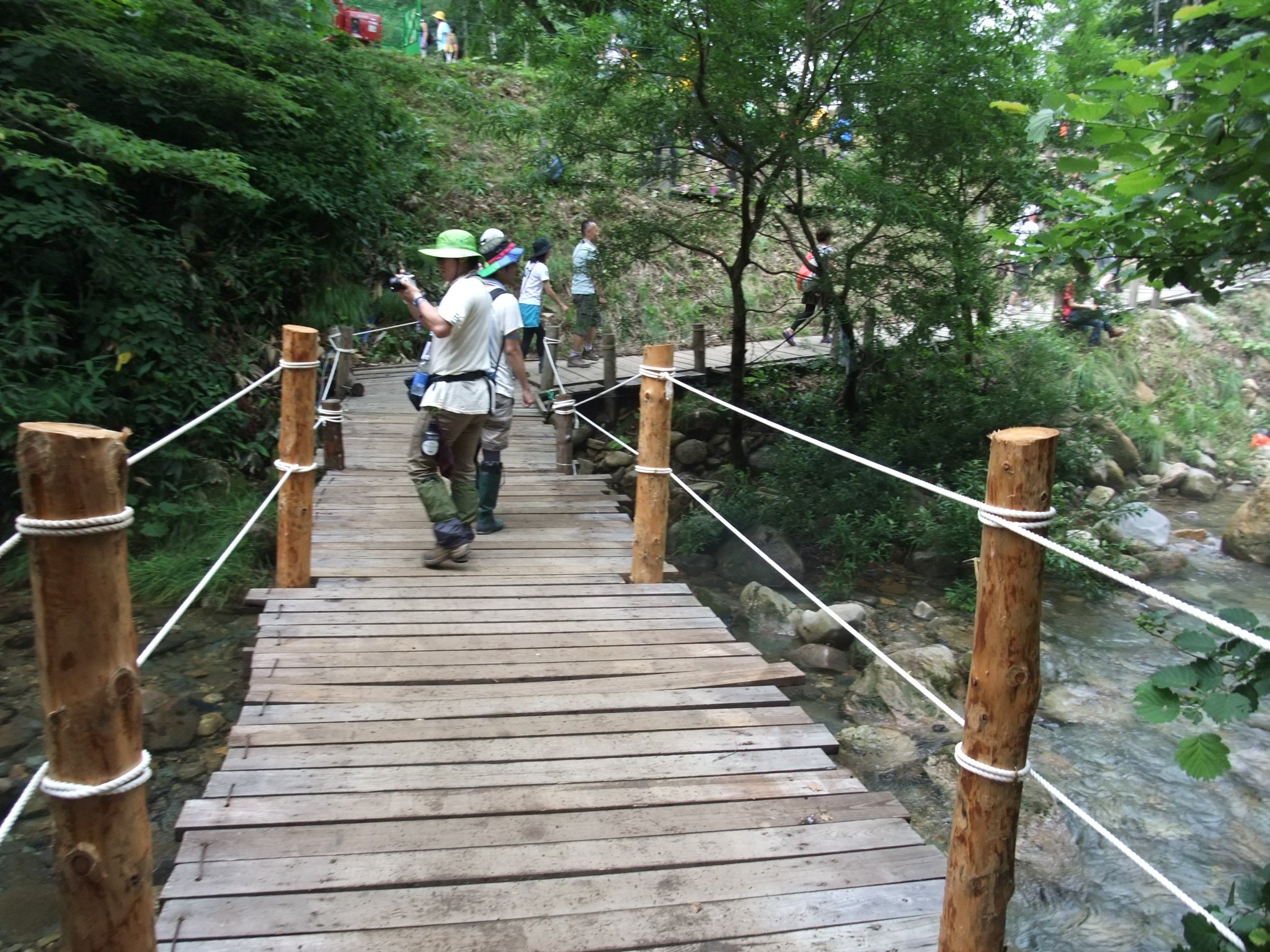 通称みどり橋。