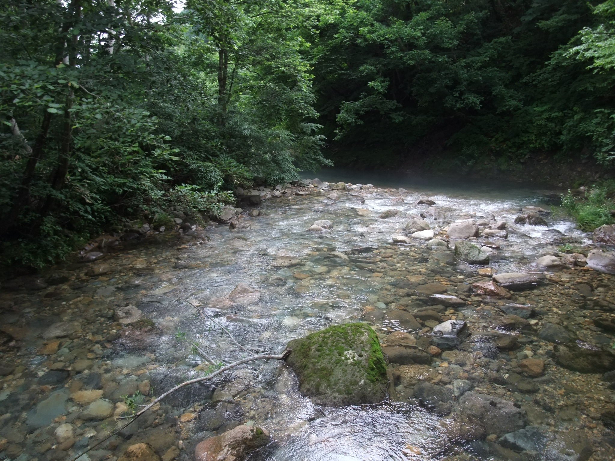 下流側。ところ天国へ流れていきます。