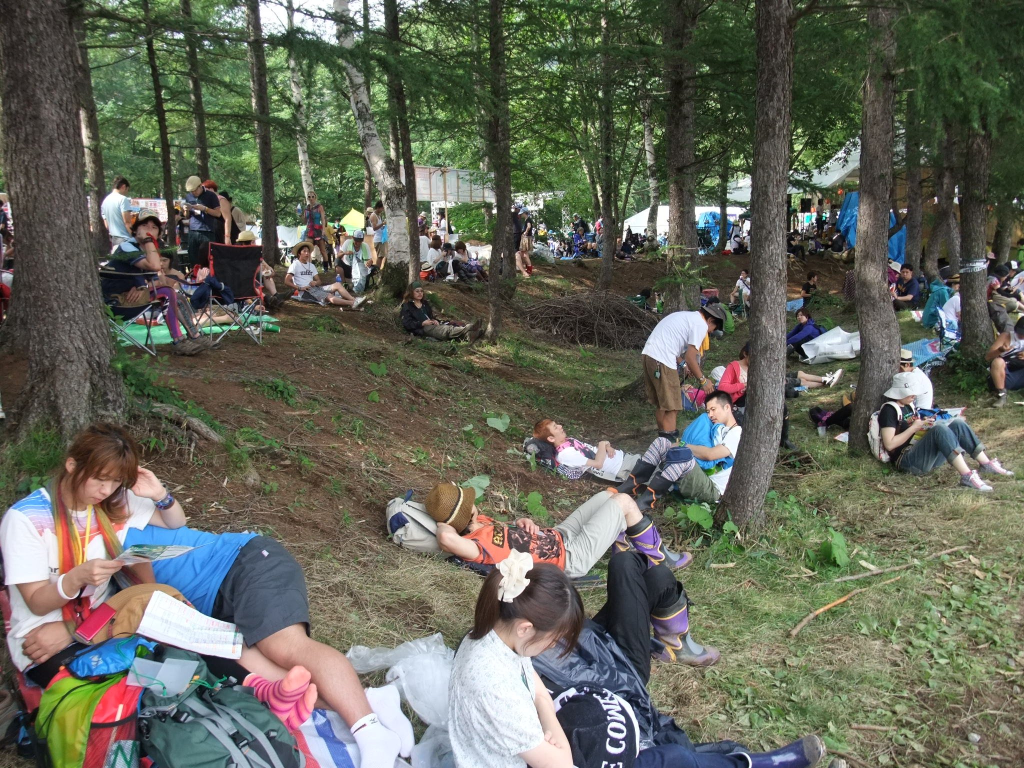 レッドマーキー側。昼寝にはちょうどよい傾斜です。