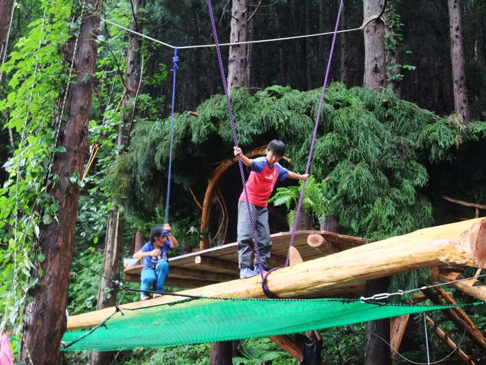 屋根は毎年葺き替えか。