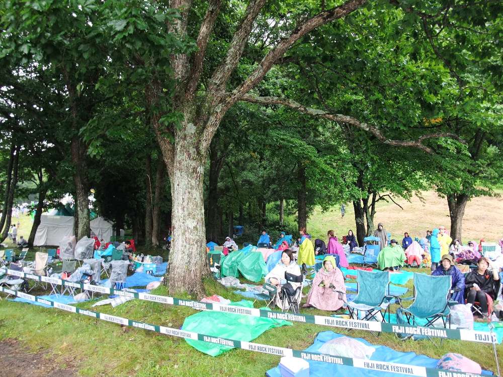 象印の裏側の木陰。