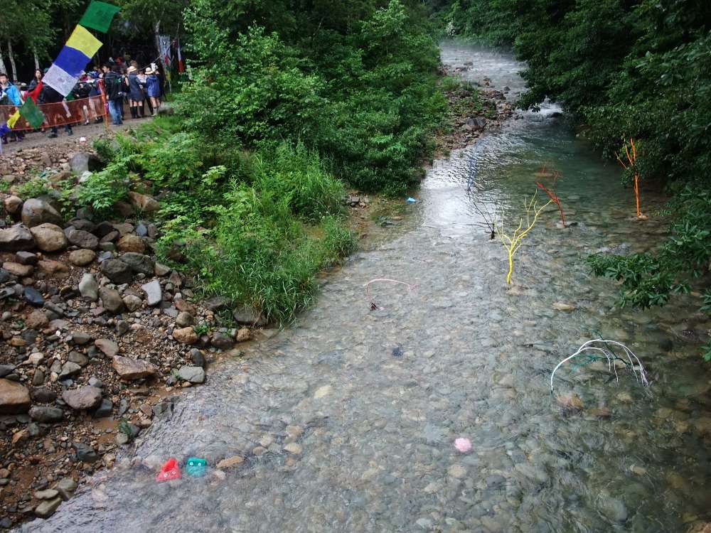 川の中の彩色された木。