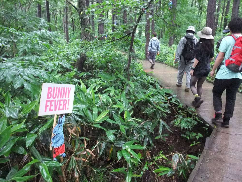 BUNNY FEVER！。