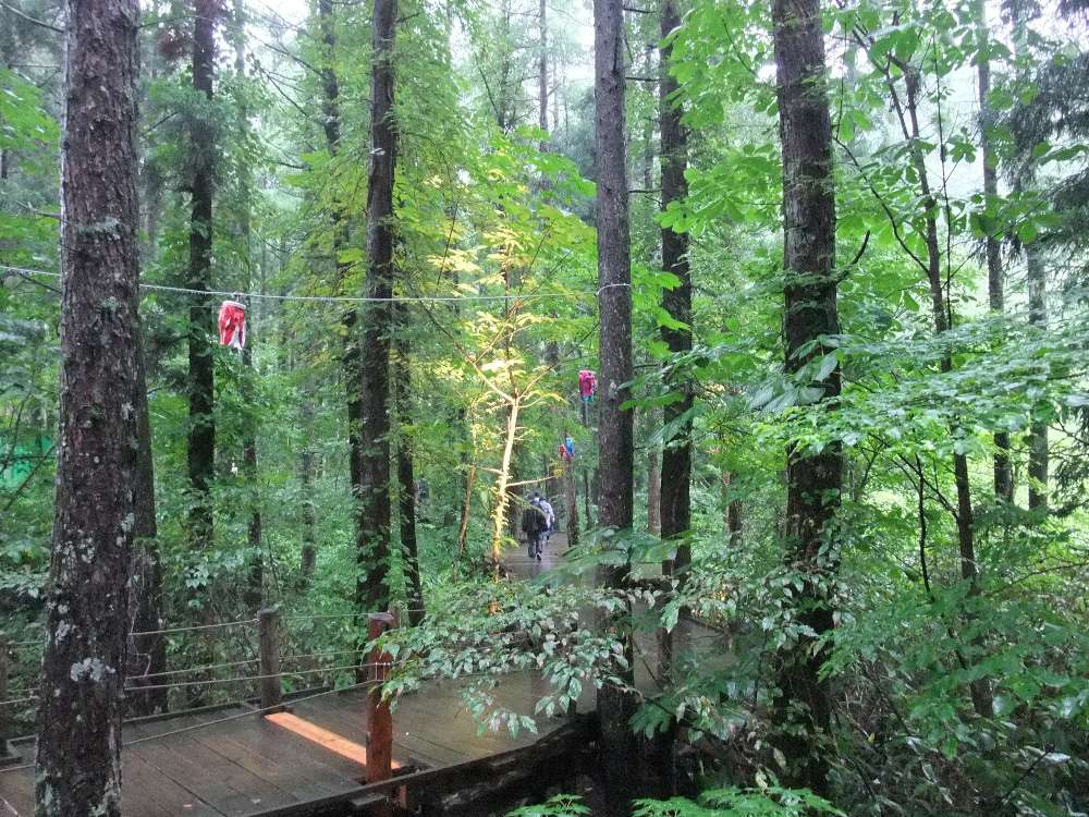 オレンジコート方面。