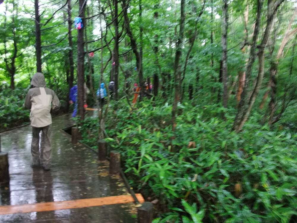 暗くなるとぶれやすくなります。