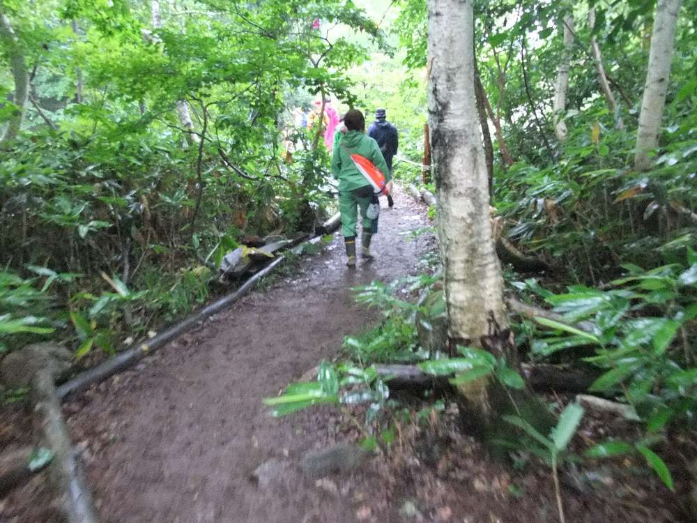 板がなくなり土になったところ。