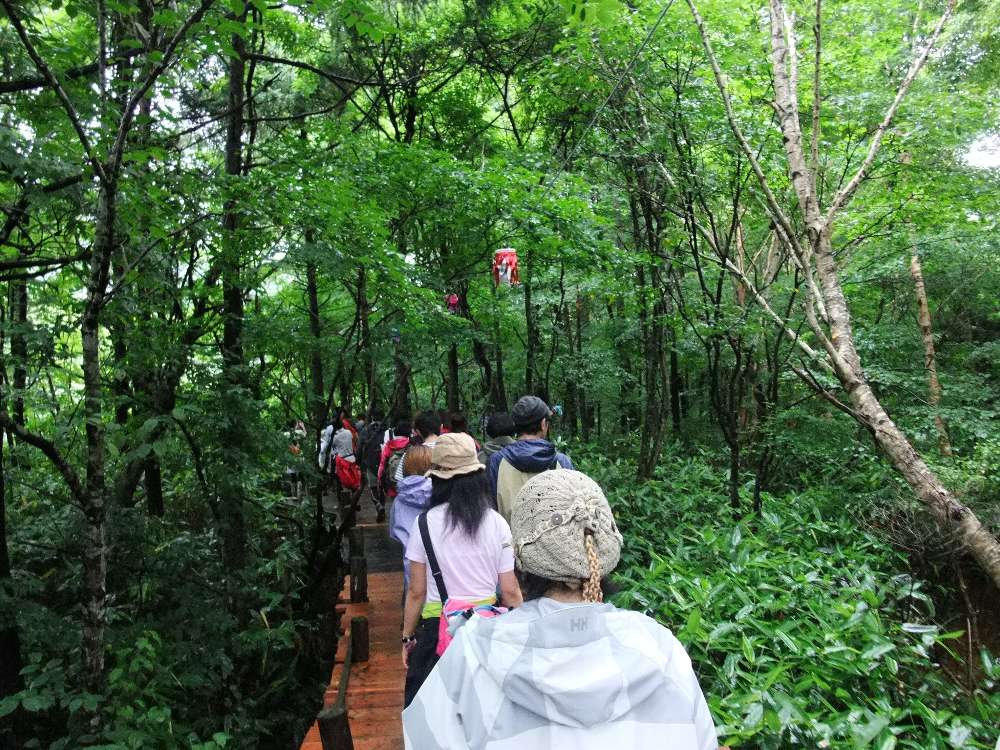 晴れているときのボードウォーク。明るい。