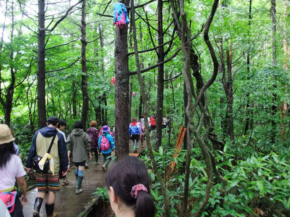 森の中に入ると雨のしずくが落ちてくるので帽子をかぶる人もいます。