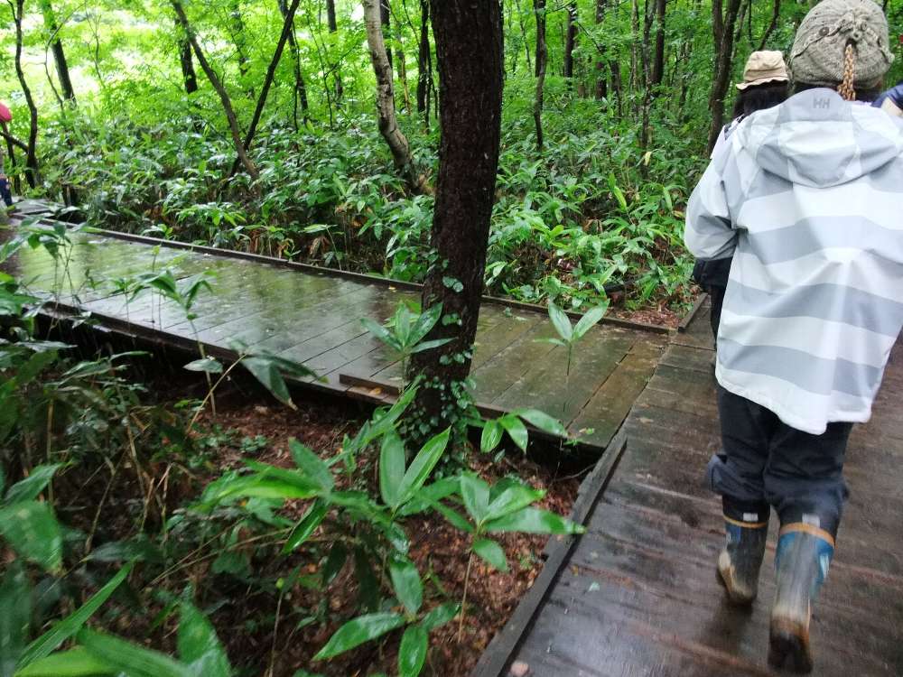 途中にある小さな休憩所のようなところへ入る板。