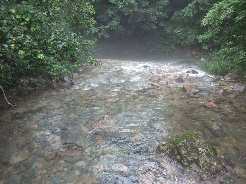 下流側。ところ天国方面。