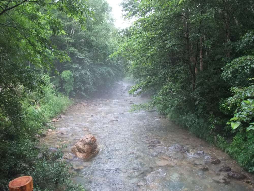 上流側。オアシスエリアの橋の側です。