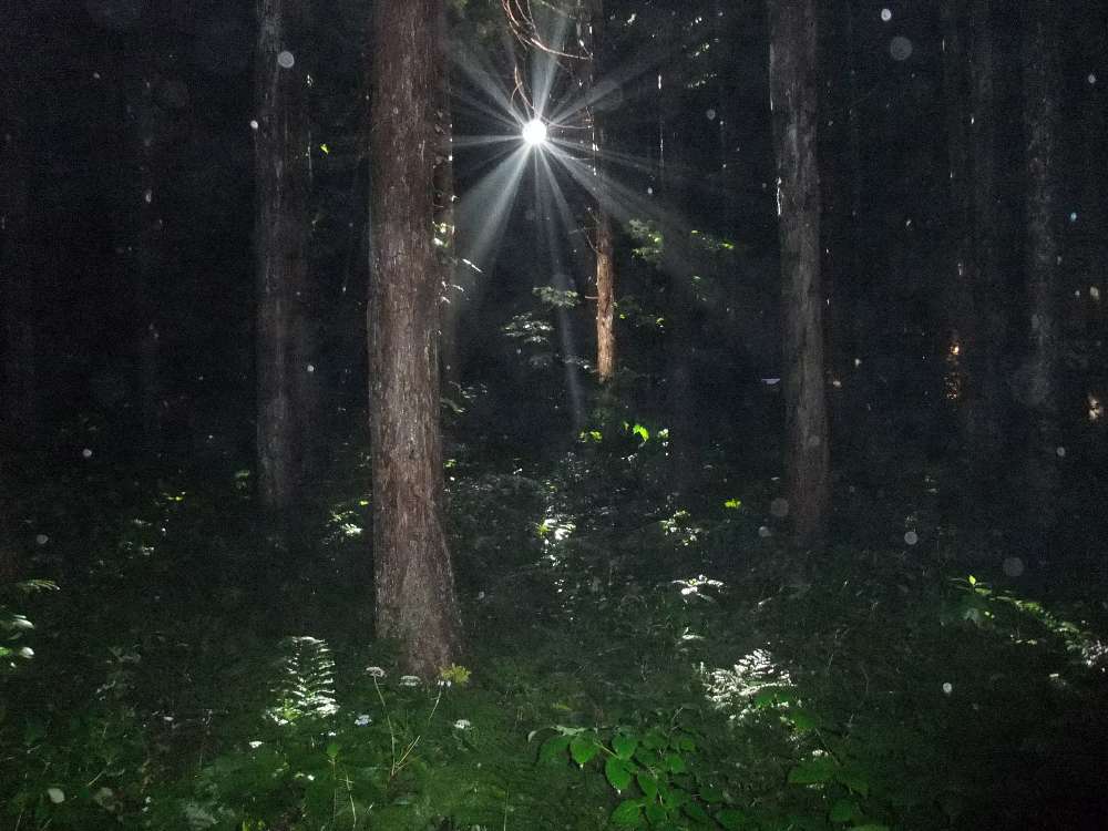 ミラーボール。